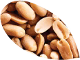 Nuts